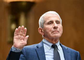 Fauci hesht për origjinën e COVID-19 në Kongres, Trump: Idetë e tij ishin të çmendura
