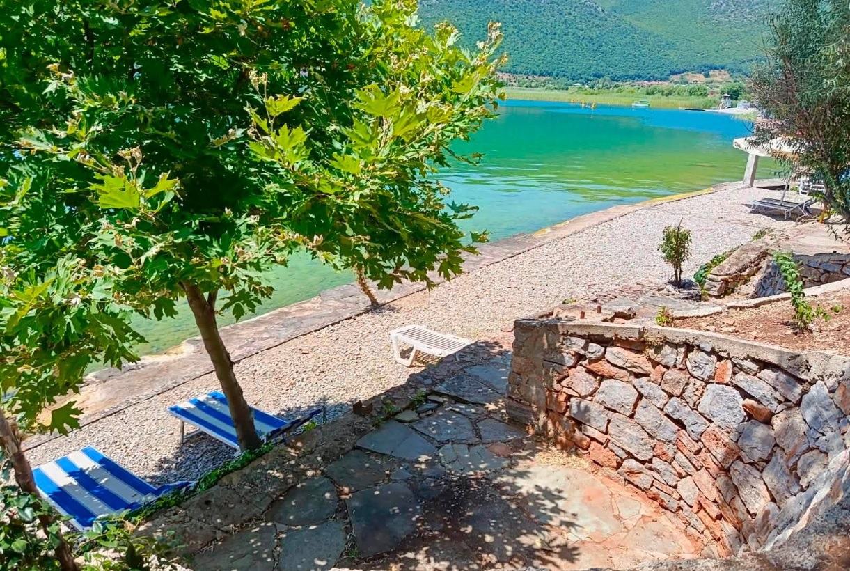 gonxhja-lirohen-cadrat-e-vendosura-ne-menyre-te-paligjshme-ne-bregliqenin-e-pogradecit