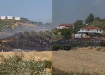 Zjarr në Belsh/ Flakët përhapen me shpejtësi, rrezikohen banesa dhe parcela me ullinj