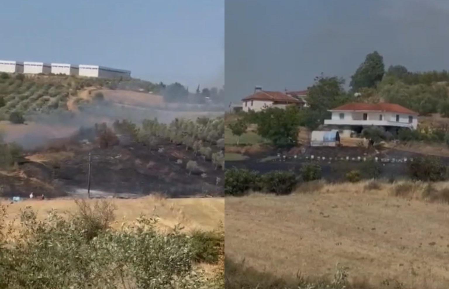 Zjarr në Belsh  Flakët përhapen me shpejtësi  rrezikohen banesa dhe parcela me ullinj