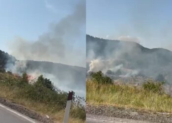 Zjarr në fshatin Gjonomadh të Korçës (VIDEO)