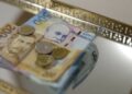 Analiza e REL: Çfarë fshihet pas forcimit rekord të lekut?
