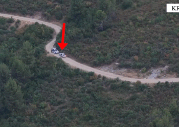 Kultivonin kanabis në pyjet e Krujë, arrestohen dy persona me precedentë penalë
