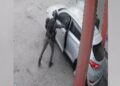 Oficeri izraelit i policisë filmohet duke hedhur granatë në një makinë në Bregun Perëndimor