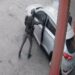 Oficeri izraelit i policisë filmohet duke hedhur granatë në një makinë në Bregun Perëndimor