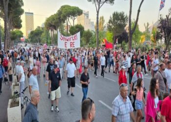 Gazetarja: Kush del në protestë kundër qeverisë duhet ta dijë se do të sulmohet, OJF-të po bëjnë mbrojtje selektive!