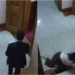 Tentoi të ndalonte Shehajn që mori dokumentin sekret, punonjësja e Kuvendit rrëzohet nga shkallët (VIDEO)