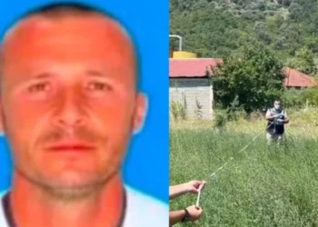 DETAJE/ Vrasja e Edmond Sulës, ekzekutori nuk përdori makinë, u largua përmes pyllit