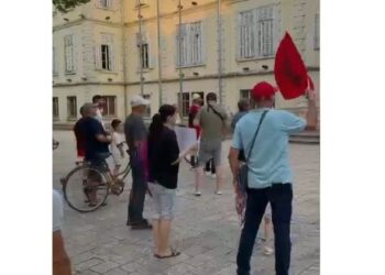 VIDEOLAJM / Nëntë qytetarë në Shkodër çohen në protestë për flamingot