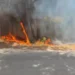 VIDEO/ Zjarr i madh në Pyllin e Sodës, tymi mbulon qytetin! Pesë vatra aktive rëndojnë situatën në Vlorë