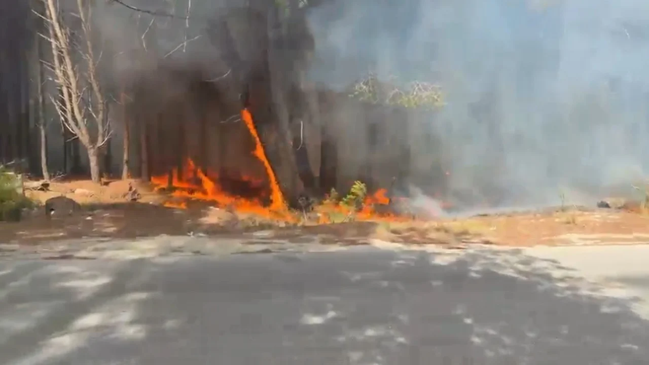 VIDEO  Zjarr i madh në Pyllin e Sodës  tymi mbulon qytetin  Pesë vatra aktive rëndojnë situatën në Vlorë