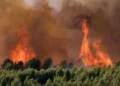 Europa Perëndimore, në alarm nga zjarret! Digjen mbi 130 mijë hektarë pyje
