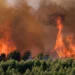 Europa Perëndimore, në alarm nga zjarret! Digjen mbi 130 mijë hektarë pyje