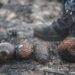 Shpërthime lufte në Francë, zjarret zbulojnë qindra bomba të Luftës së Dytë Botërore