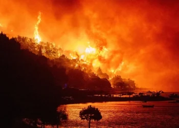 Evropa nën pushtetin e flakëve, zjarre masive nga Belgjika në Spanjë, viktima dhe qindra të evakuuar
