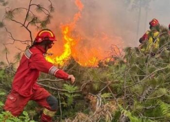 Ministria e Mbrojtjes: 23 vatra zjarri në Shqipëri, 13 ende aktive, ja zonat më problematike