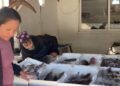 Të huajt zgjedhin Shqipërinë për punë, kryesojnë Filipinet, India dhe Egjipti