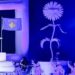Katy Perry nuk vjen vetëm në Sunny Hill, e shoqëron ish-kryeministri kanadez Justin Trudeau