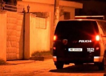 E rëndë në Lushnjë! Djali vret me sqepar nënën dhe plagos babain