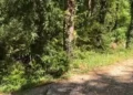 Dy turistë gjermanë të bllokuar në malin e Çikës, nisin kërkimet nga terreni dhe ajri pas lëshimit të sinjalit SOS