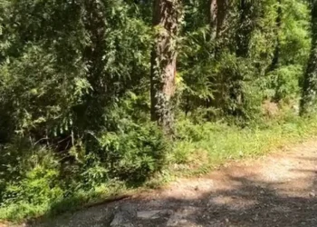 Dy turistë gjermanë të bllokuar në malin e Çikës, nisin kërkimet nga terreni dhe ajri pas lëshimit të sinjalit SOS