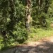 Dy turistë gjermanë të bllokuar në malin e Çikës, nisin kërkimet nga terreni dhe ajri pas lëshimit të sinjalit SOS