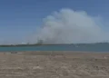  Zjarr i madh në Novoselë të Vlorës! Flakët pushtojnë pyllin me pisha në Pishporo