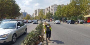 Nga biznesi te mbrojtja e mjedisit / Bashkitë nuk ushtrojnë pothuajse 6 funksione ligjore!