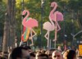 Flamingo, 80 ditët pa të nesërme, pa fytyrë dhe emër
