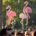 Pse fabula e Revolucionit të Flamingove s’u kthye në kauzë kombëtare?