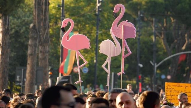 Pse fabula e Revolucionit të Flamingove s u kthye në kauzë kombëtare 