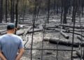 Si u përfshi Kosova në lajmet e rreme për zjarret në Serbi