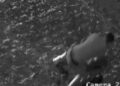 VIDEO / “Shtrihu në tokë, mos lëviz”, dalin pamjet e arrestimit të autorit të vrasjes në Korçë