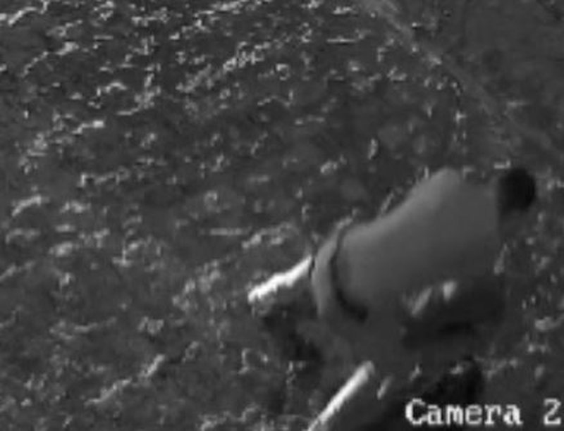 VIDEO    Shtrihu në tokë  mos lëviz   dalin pamjet e arrestimit të autorit të vrasjes në Korçë