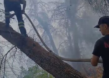 Pas disa ditësh betejë me flakët, fiken zjarret në Mallakastër, por vijojnë në Roskovec