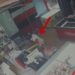 Finalizohen dy operacione policore në Tiranë, zbardhen 6 raste vjedhjesh dhe arrestohen autorët