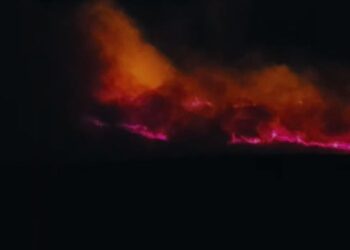 Shuhet zjarri në Shashicë, 4 punonjës refuzuan evakuimin për të monitoruar zonën