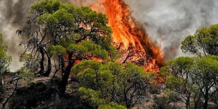 Alarmi i zjarreve në Shqipëri, 27 vatra në 24 orë, 8 aktive dhe 4 nën monitorim