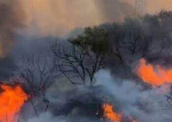 Zjarr pranë pusit të naftës dhe nënstacionit elektrik në Mallakastër (VIDEO)