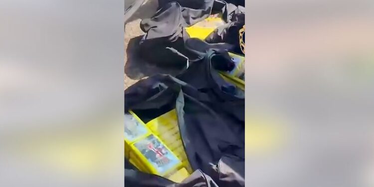 Goditet rrjeti i drogës në Spanjë e Portugali, sekuestrohen mbi 3.3 ton kokainë dhe armë! Arrestohen 3 persona -