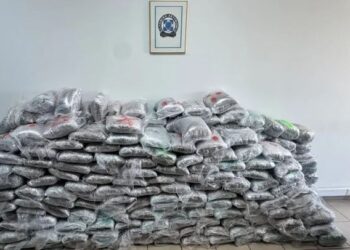324 kg marijuanë nga Shqipëria drejt Turqisë/ Shkatërrohet banda në Greqi, drogën e fshihnin në ngarkesa me letër për riciklim
