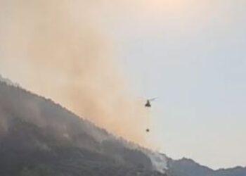 Zjarret “pushtojnë” Shqipërinë/ 31 vatra të regjistruara, 11 ende aktive, në terren qindra forca