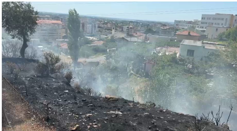 Zjarr i madh në Lezhë  rrezikohen banesat  Temperaturat e larta dhe era e fortë favorizojnë flakët