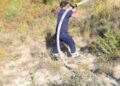 Pas disa orësh betejë me flakët, neutralizohet zjarri në Drenovë, digjen 10 hektarë ullinj dhe pyll