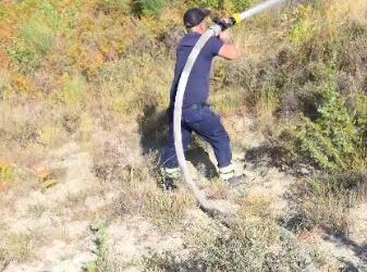 Pas disa orësh betejë me flakët, neutralizohet zjarri në Drenovë, digjen 10 hektarë ullinj dhe pyll