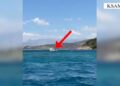 Gomonia shkel perimetrin e sigurisë dhe rrezikon pushuesit në Ksamil, gjobitet drejtuesi