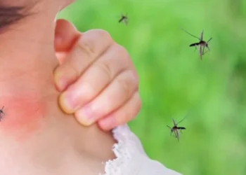 Alarm në Greqi, virusi i Nilit Perëndimor përhapet me shpejtësi, 6 viktima dhe 65 të infektuar