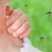 Alarm në Greqi, virusi i Nilit Perëndimor përhapet me shpejtësi, 6 viktima dhe 65 të infektuar