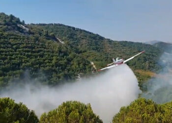 Flakët ‘nxorën në provë’ avionin e ri, “Air Tractor” nis operacionin në Mallakastër
