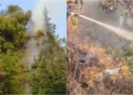 Zjarr në zonën e Ujit të Ftohtë në Vlorë, flakët përfshijnë sipërfaqen me pisha